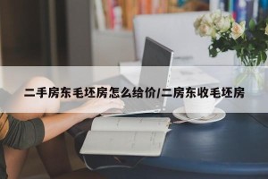 二手房东毛坯房怎么给价/二房东收毛坯房