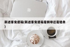 新逍客变速箱(新逍客变速箱是钢带还是链条)